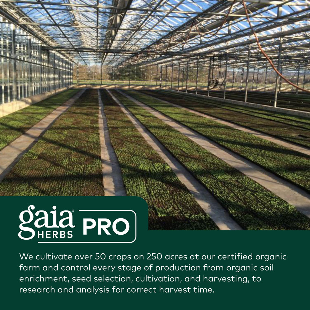 GAIA Herbs PRO vegan gluten-free soy-free label—suitable for diverse dietary needs.