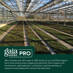 GAIA Herbs PRO vegan gluten-free soy-free label—suitable for diverse dietary needs.