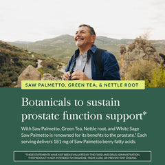 Gaia Herbs Prostate Health green tea illustration highlighting plant-based support