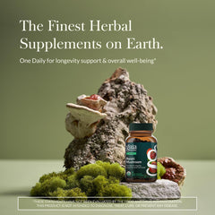 Gaia Herbs Reishi capsules closeup for vegan wellness support.
