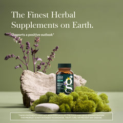 Gaia Herbs Steady Mind capsules show non-drowsy mood support.