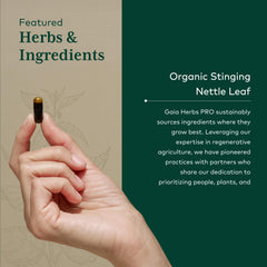 Gaia Herbs Stinging Nettle Leaf capsules in blister pack for vegan, gluten-free supplementation