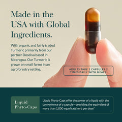 Gaia Herbs Turmeric Supreme Joint Health ingredients with quercetin highlighted in composition