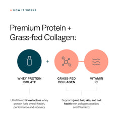Gainful collagen whey flavor packets offer daily flavor variety without compromising nutrition