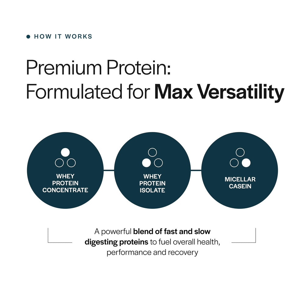 Gainful Everyday Whey Bundle packaging back view shows ingredients and no artificial additives.