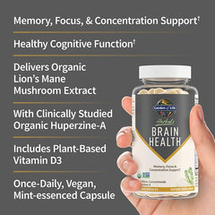 Huperzine-A close-up showing a key brain health ingredient