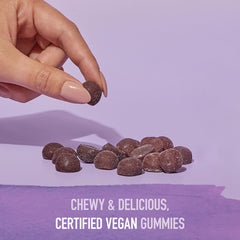 Garden of Life Organics Elderberry Gummies gluten-free and vegan label visible on packaging.
