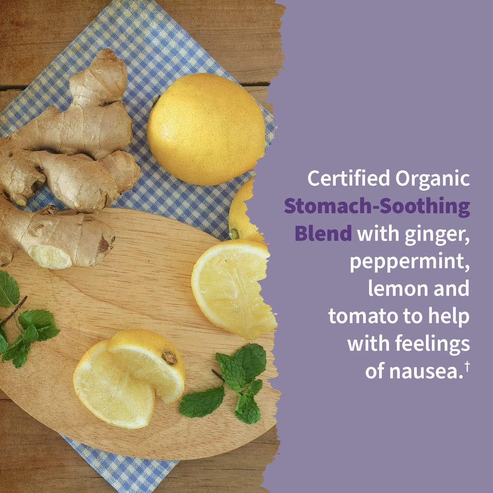 Garden of Life Organics prenatal bottle shows the stomach-soothing blend ingredients.