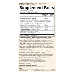 Garden of Life Organics turmeric and ginger close-up for antioxidant support