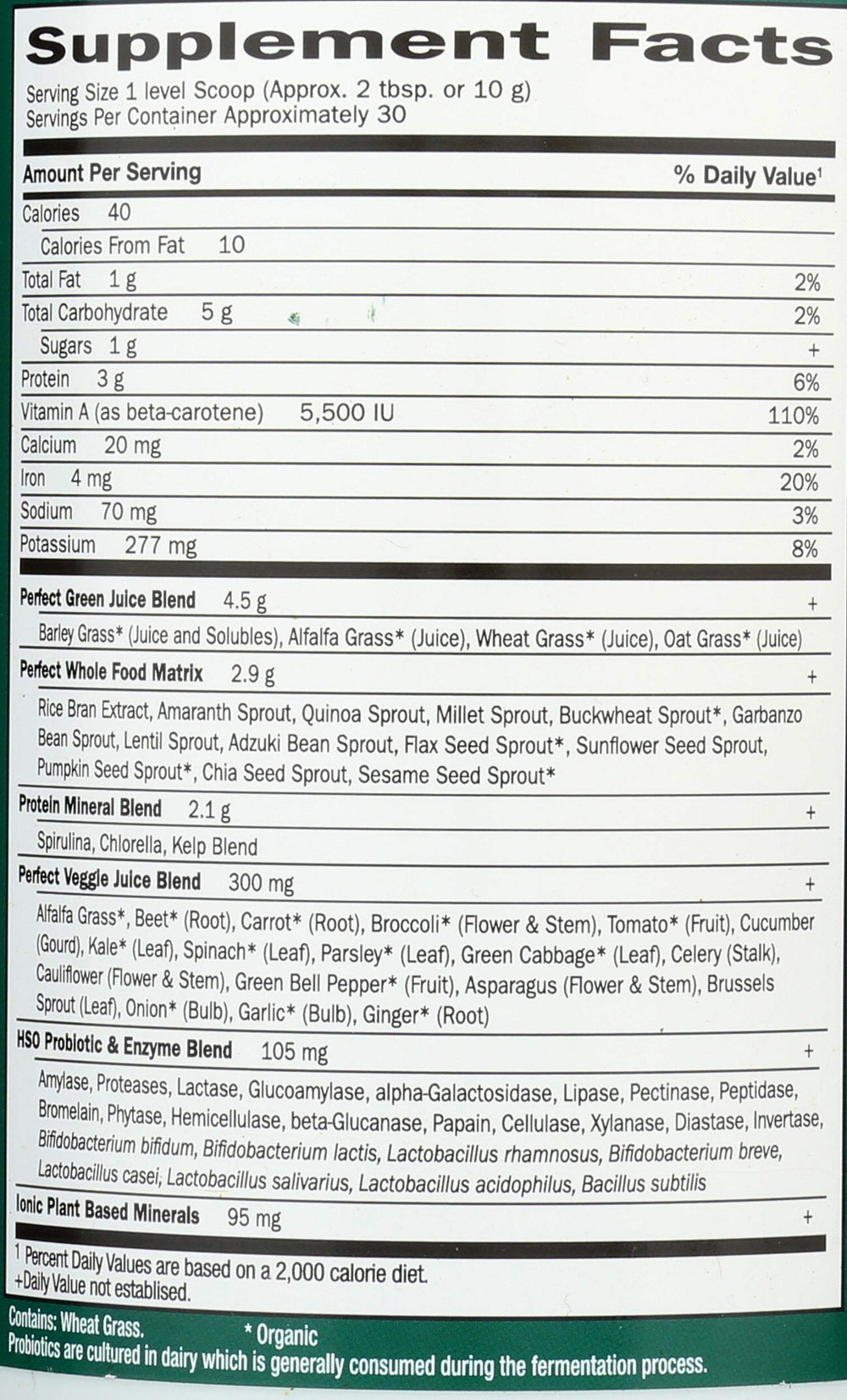 Garden of Life Perfect Food Powder in a shaker ready for a smoothie.