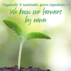 Garden of Life Raw Organic Greens ingredients close-up show natural nutrients.