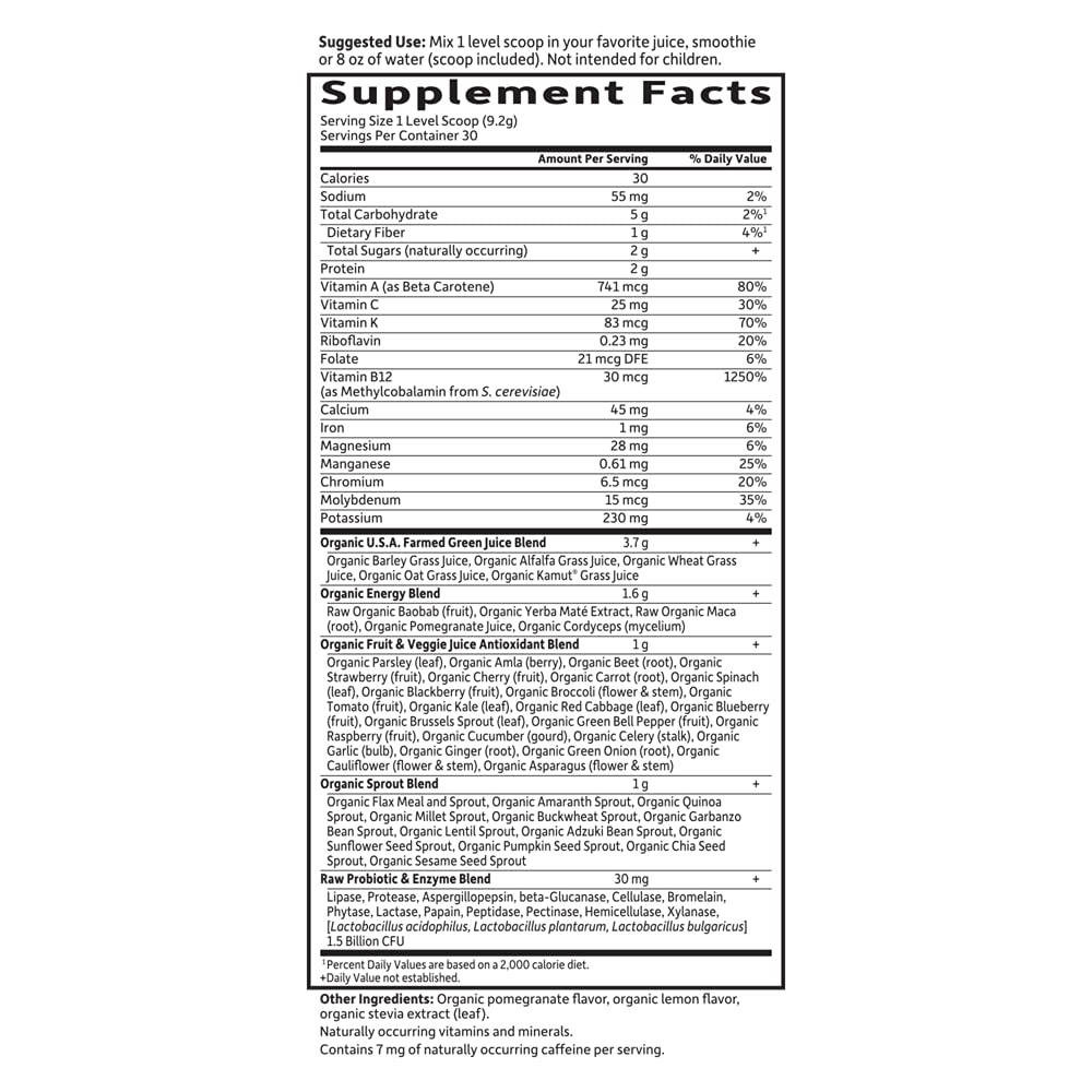 Garden of Life Raw Organic Perfect Food Energizer label closeup highlighting vegan organic dairy-free credentials