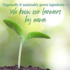 Garden of Life Raw Organic Perfect Food Energizer probiotic illustration signifying digestive support