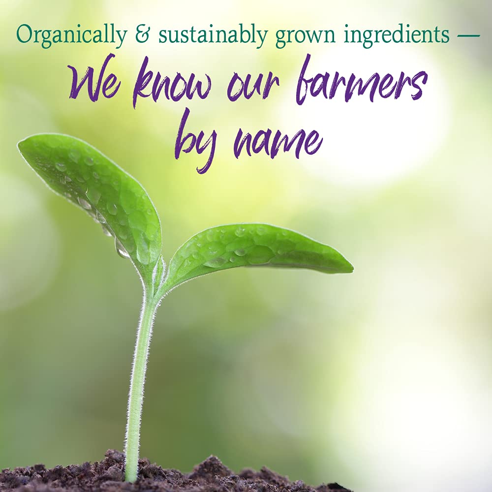 Garden of Life Raw Organic Perfect Food green powder in water for quick nutrition
