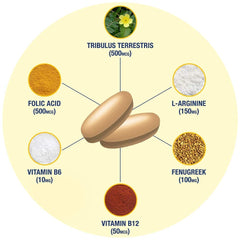 Estrogen balance concept graphic with Testrol Gold ES packaging