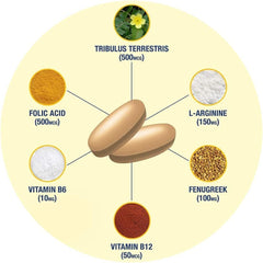 Saw Palmetto imagery alongside Testrol Gold ES bottle