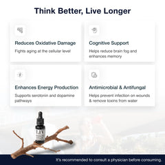 Person using Methylene Blue as part of cognitive-support routine