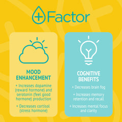 Generic Plus Factor brain-focus concept signals cognitive support during tasks.