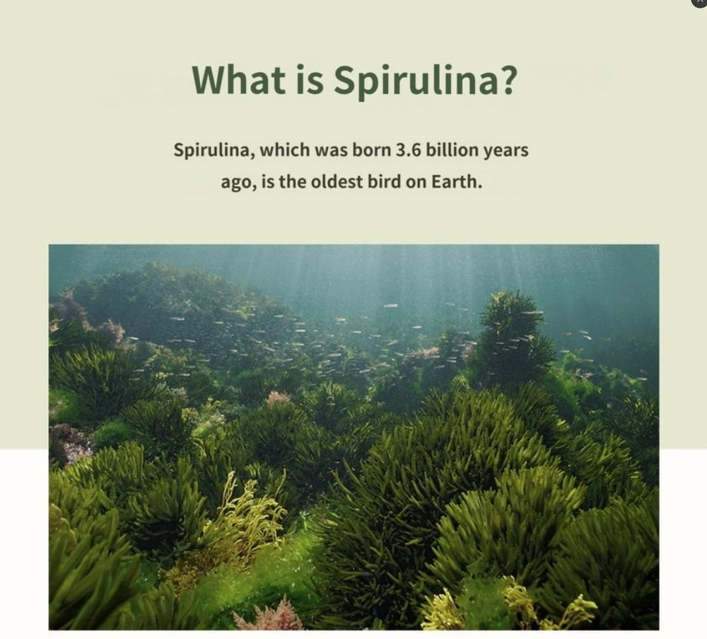 Generic Spirulina bottle label emphasizes chlorophyll content and purity