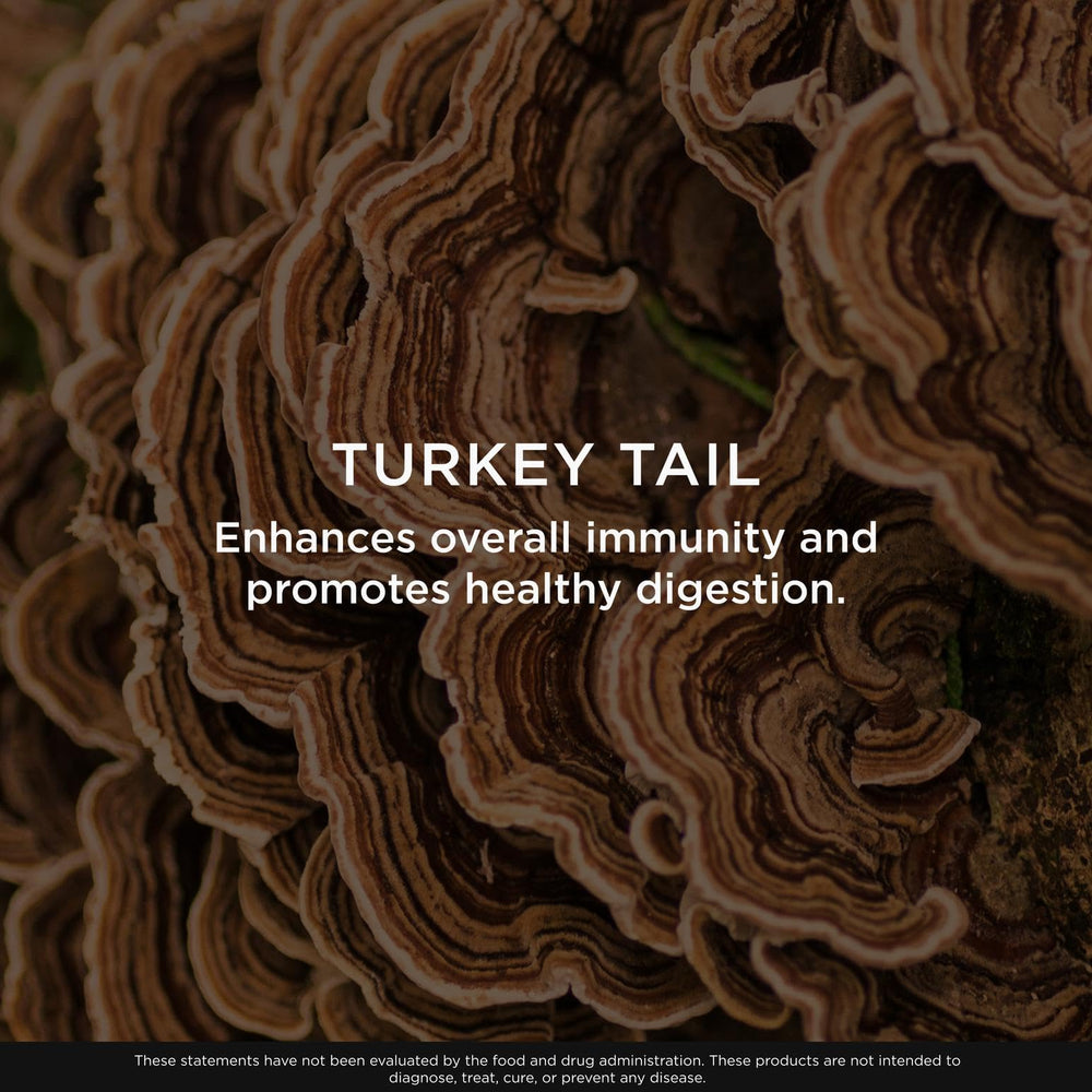 Close-up of organic mushrooms emphasizes natural ingredients for immune and gut health exploration.