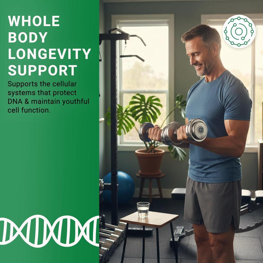 GenuinePurity Longevity+ Cycloastragenol and Resveratrol capsules supporting antioxidant balance.