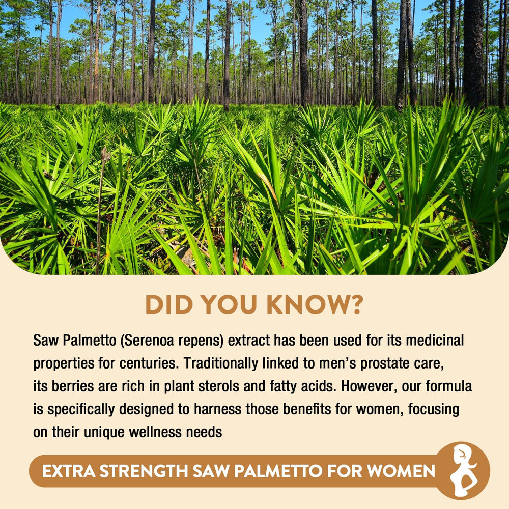 Gesundgeist Saw Palmetto five-in-one blend illustration showing key ingredients.