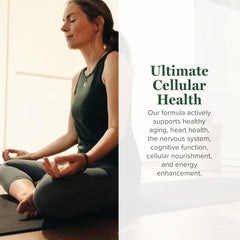 Global Healing Center Resveratrol anti-aging capsules with antioxidant support for longevity