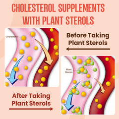 Glorithiventa graphic highlighting plant sterols and stanols blend.