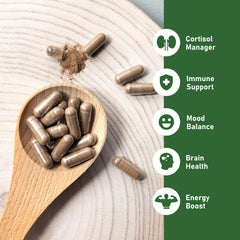 GlowEver Ginkgo Biloba extract promoting clear thinking and healthy circulation.