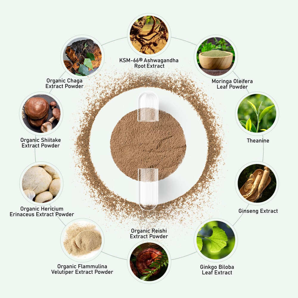 GlowEver Organic mushrooms blend emphasizing immune support and gut wellness.