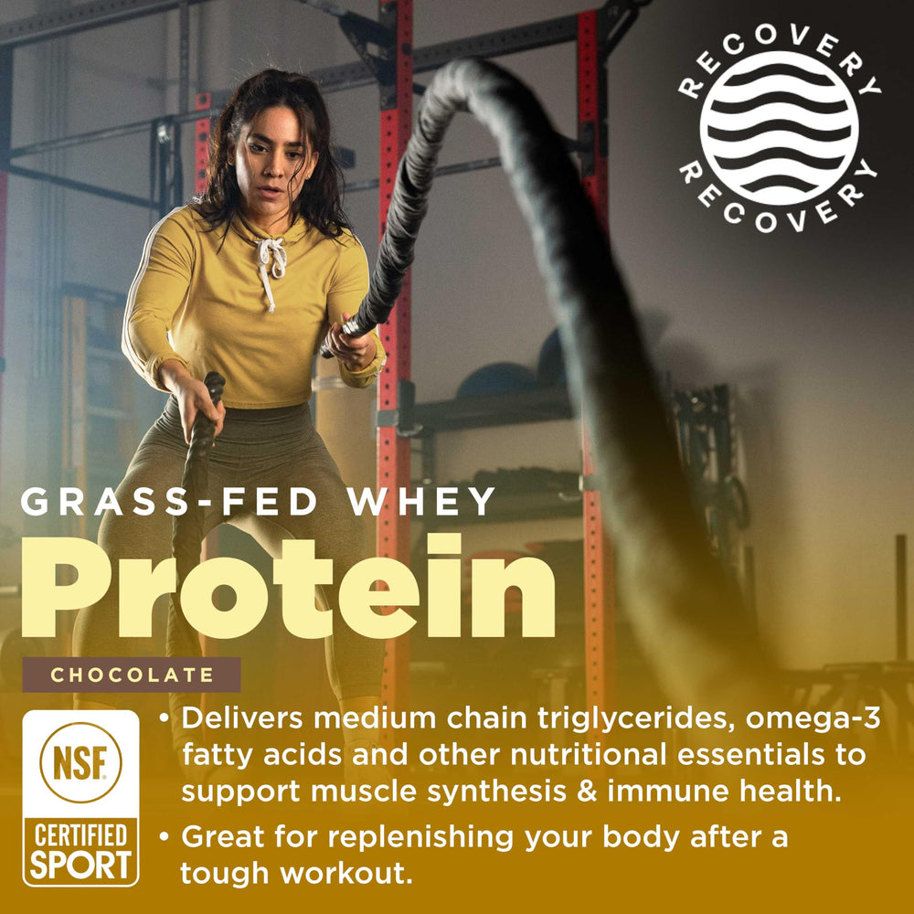 Gnarly Nutrition chocolate protein tub close-up showing grass-fed whey and NSF Sport certification.