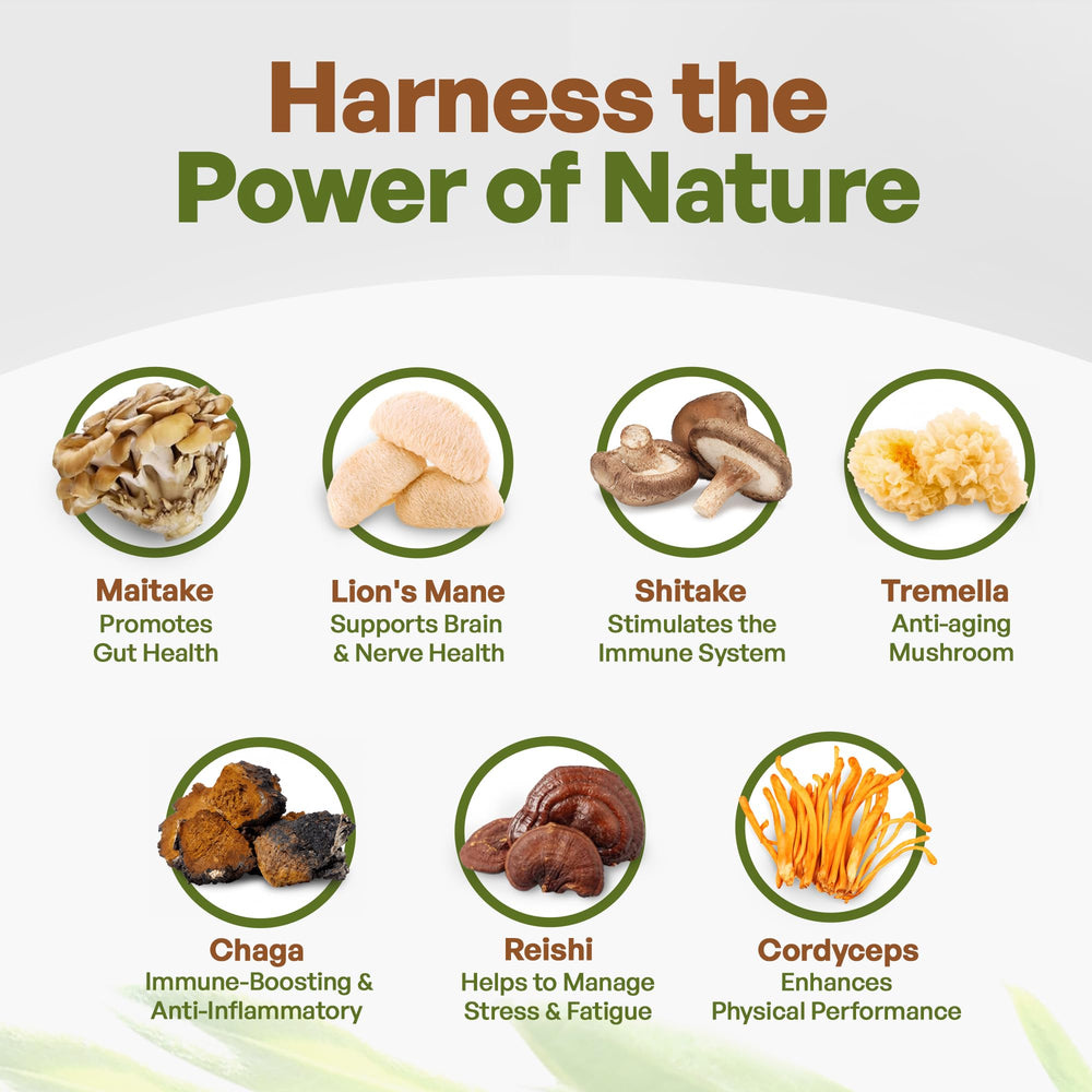 Go Nutra chaga mushroom cross-section emphasizes antioxidant-rich extract