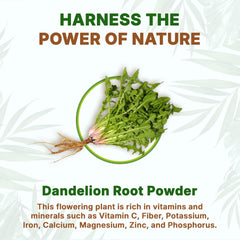 Go Nutra Dandelion Root Powder lab-tested for quality assurance