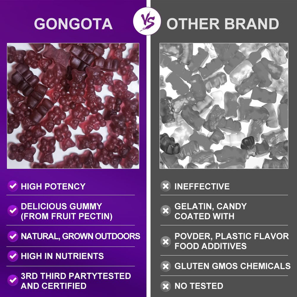 GONGOTA elderberry extract visual highlights immune-support ingredients.