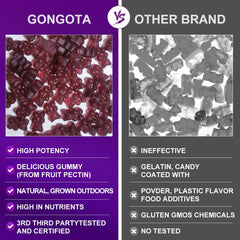 GONGOTA elderberry extract visual highlights immune-support ingredients.