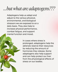 Goodness Lover label emphasizes organic root extract for stress response and absorption.