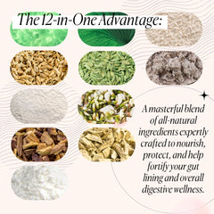 Goodness Lover Gut Soothe Glow ingredients chart highlighting key botanicals for digestion