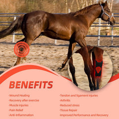 GOURIXIN rechargeable infrared wrap enables battery-powered use anywhere.