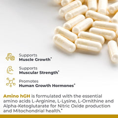 Graphic showing essential amino acids in Premier Research Labs Amino HGH