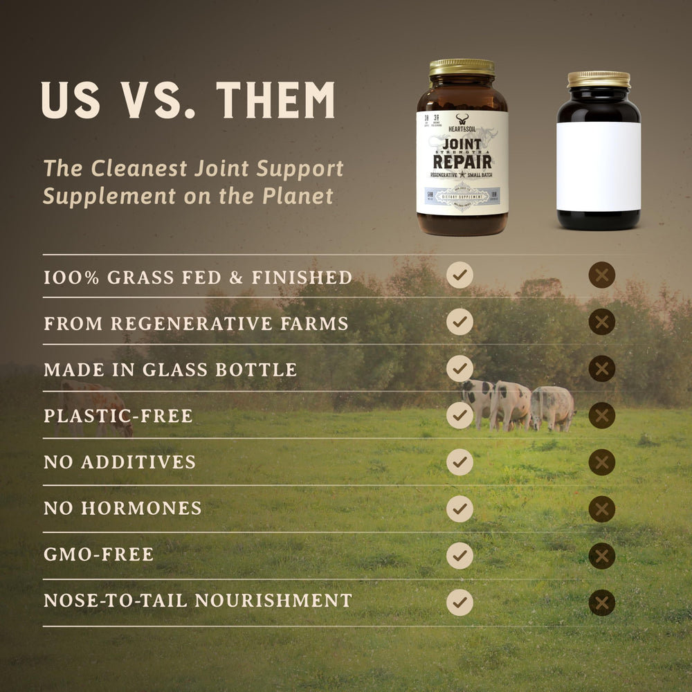Heart & Soil grass-fed regenerative cattle imagery emphasizing sustainable sourcing