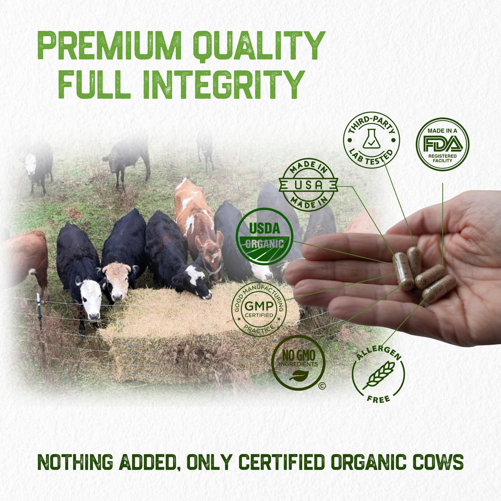 Close-up of Grassfat freeze-dried beef organs capsules preserving potency