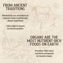 GRAZIN HEALTH organ complex pancreas capsule nutrient-dense for metabolic vitality.