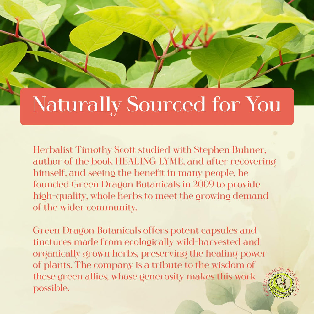 LB CORE packaging from Green Dragon Botanicals emphasizes vegetarian, gluten-free formula.