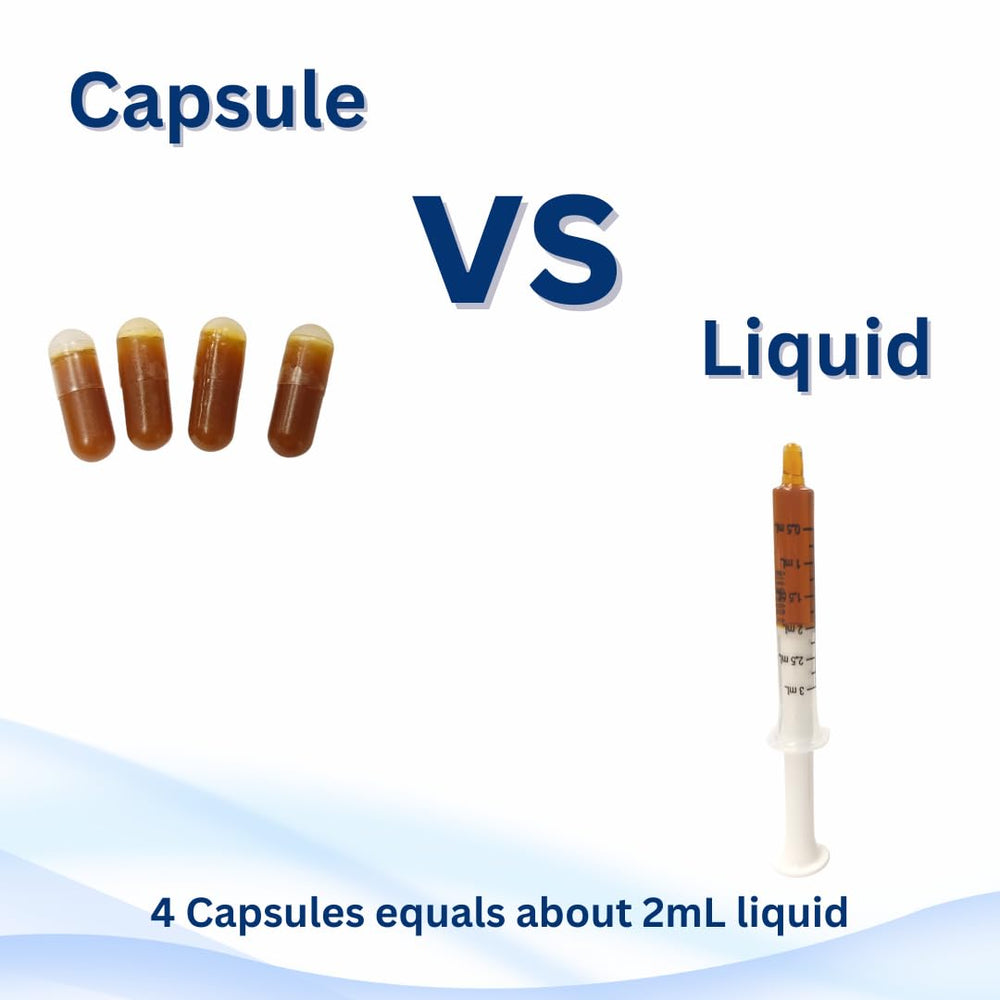 Green Pasture capsules bottle ready for everyday supplementation with omega-3 benefits