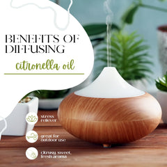 Diffuser scene demonstrates broad scent distribution without overpowering notes.