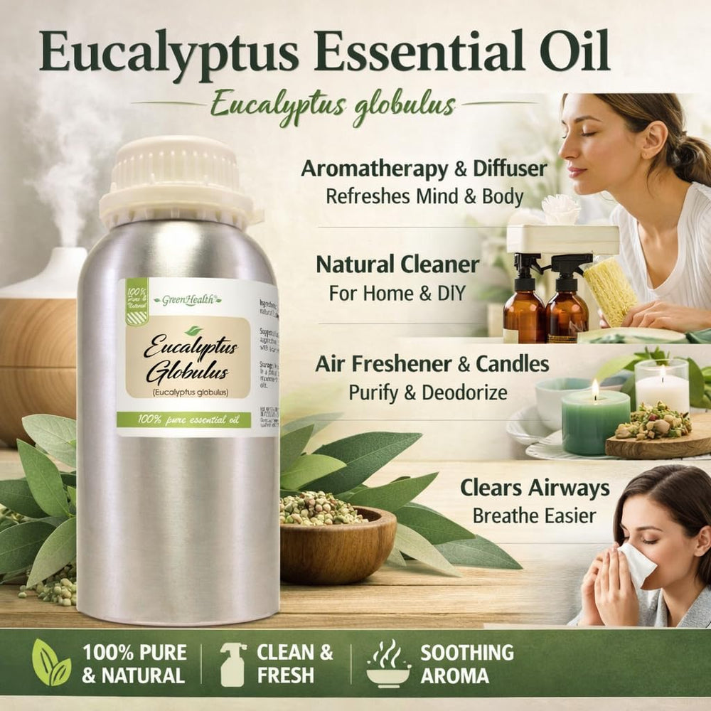 GreenHealth Eucalyptus Globulus oil diffuser — enhances rooms with camphor-like freshness.