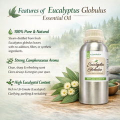 GreenHealth Eucalyptus Globulus oil label — clear purity information for easy reference.