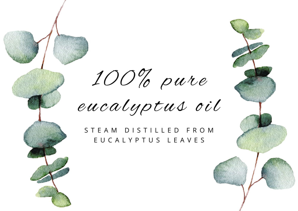 GreenHealth Eucalyptus home fragrance in a room setting for freshness