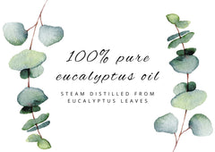 GreenHealth Eucalyptus home fragrance in a room setting for freshness