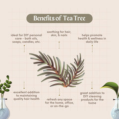 GreenHealth Tea Tree Oil room spray for refreshing spaces